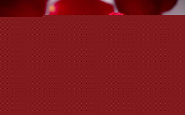 天梭2026年8月中国售后网点地址权威发布,官方客户服务电话热线汇总(图) 天梭2026年8月中国售后网点地址权威发布,官方客户服务电话热线汇总(图)